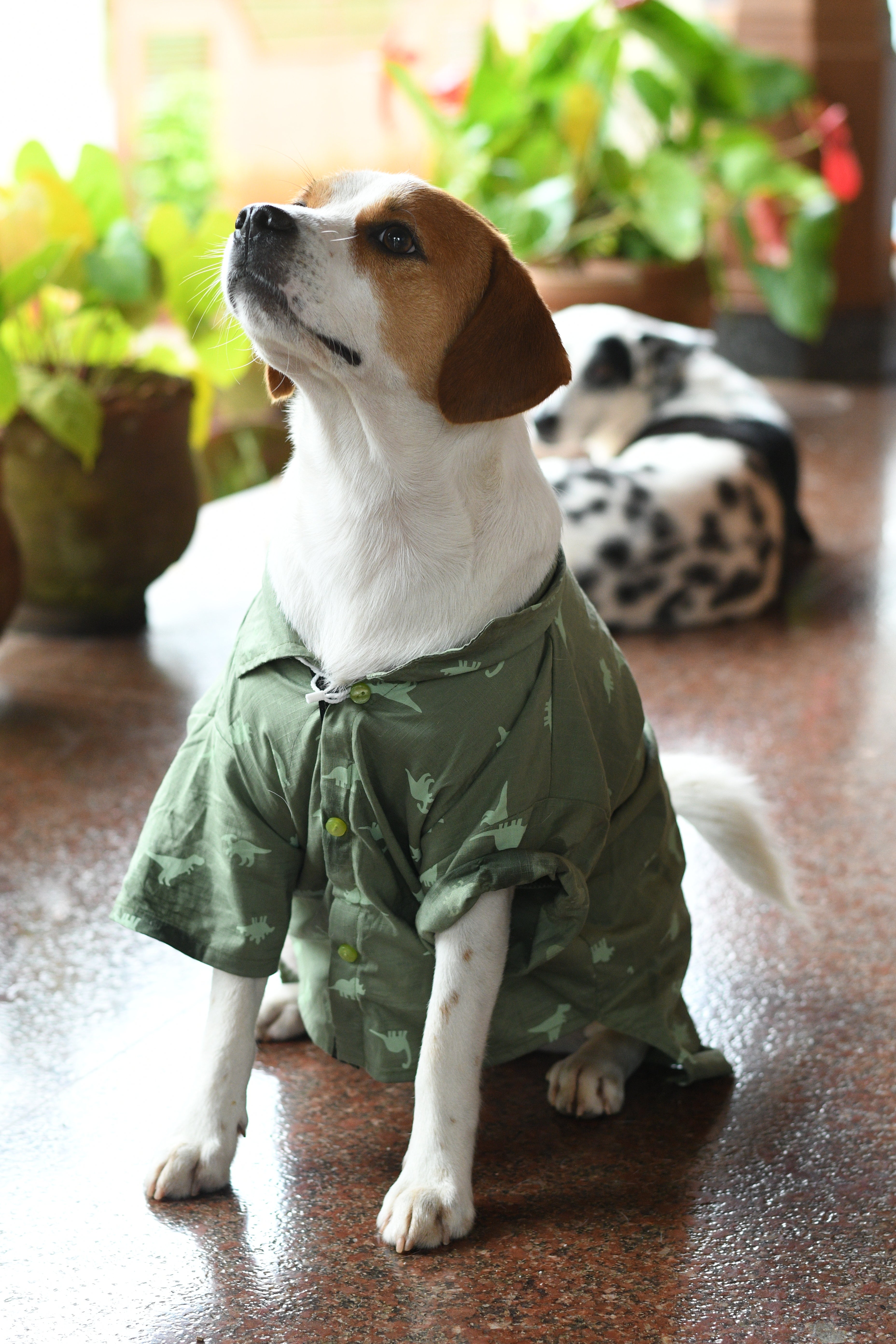 Tiny T-rex shirt
