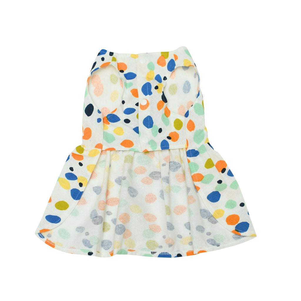 Confetti Carnival
