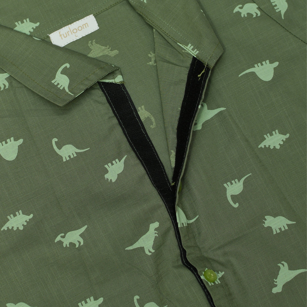 Tiny T-rex shirt