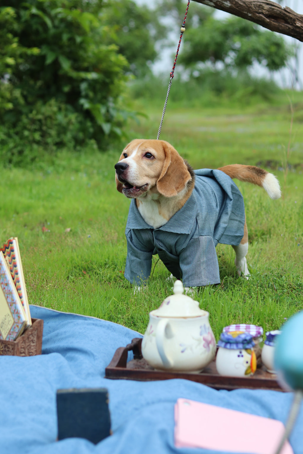 The Dapper Pup Shirt