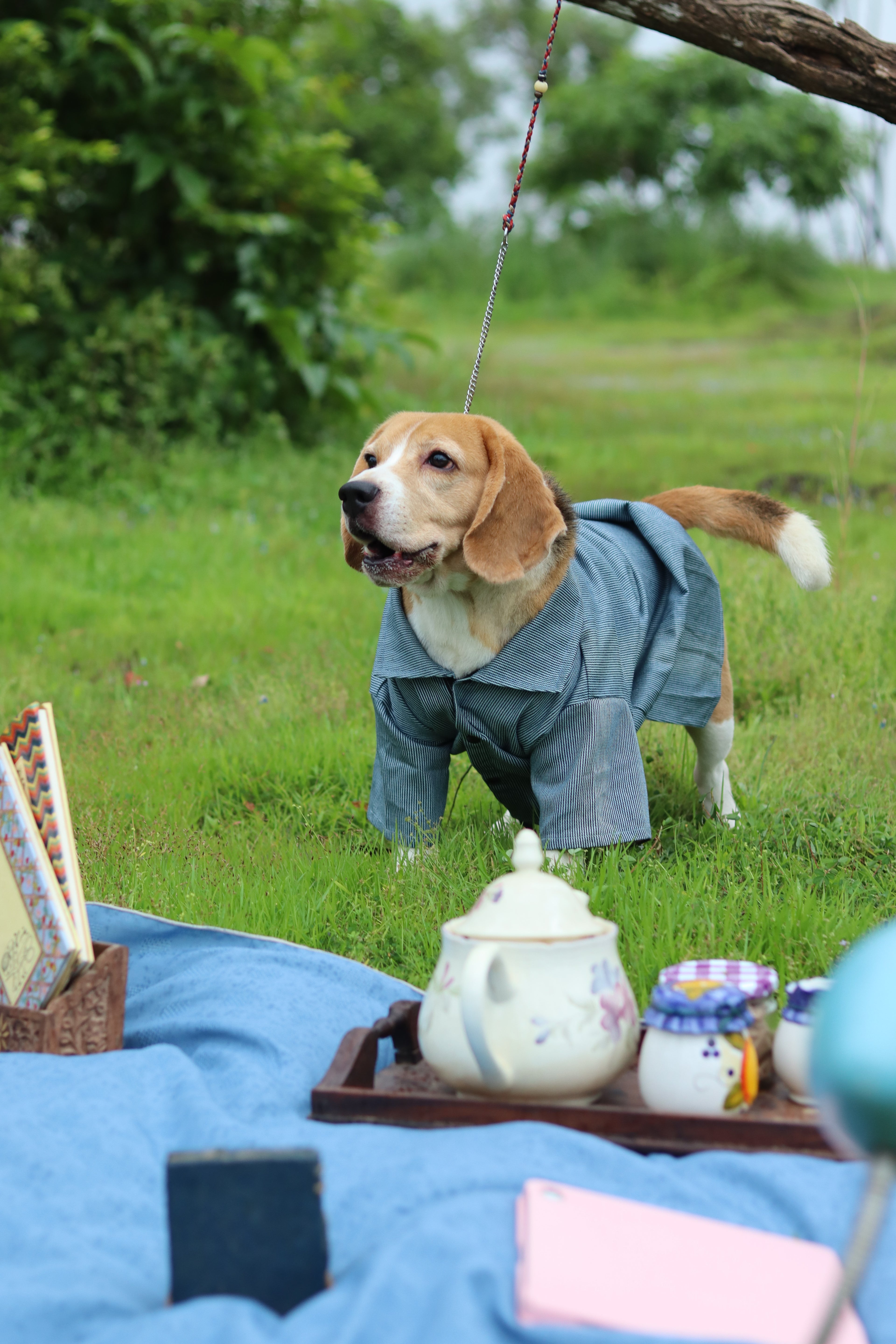 The Dapper Pup Shirt