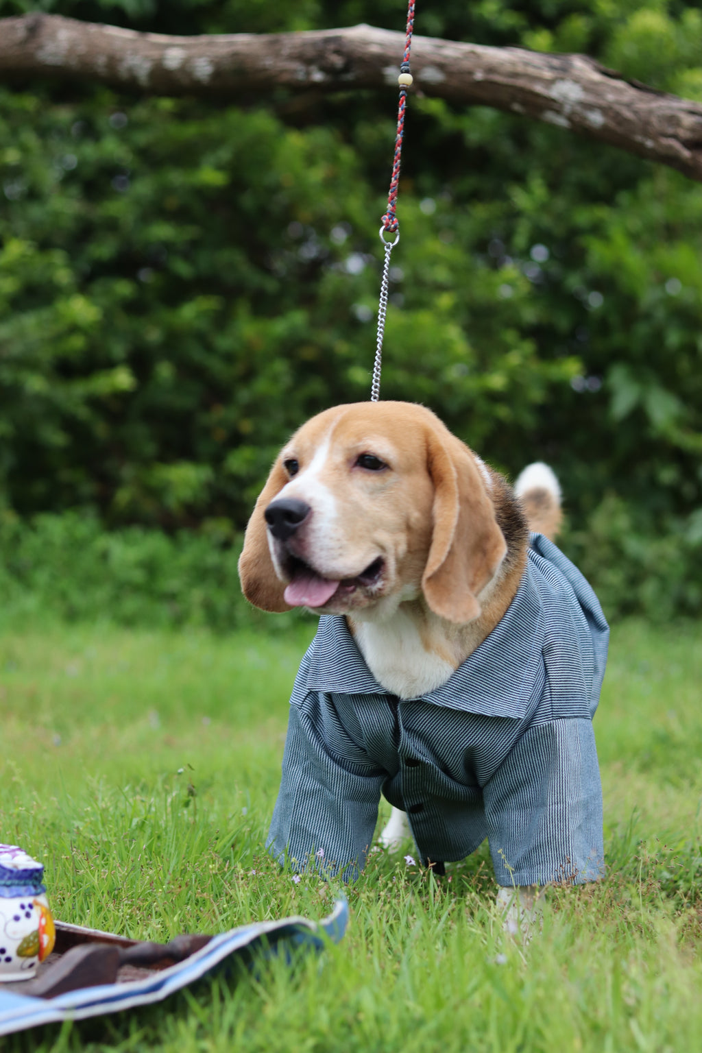 The Dapper Pup Shirt