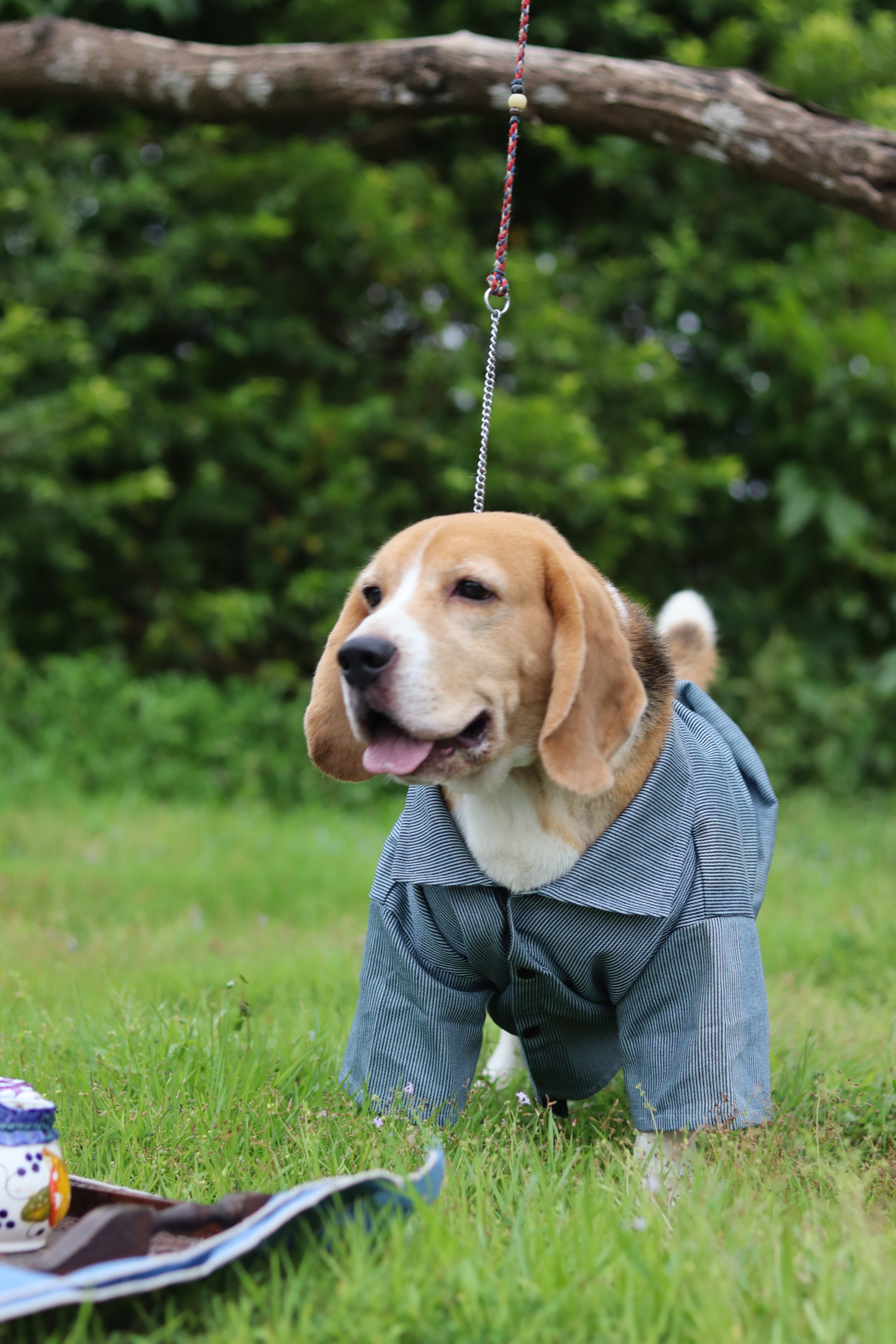 The Dapper Pup Shirt
