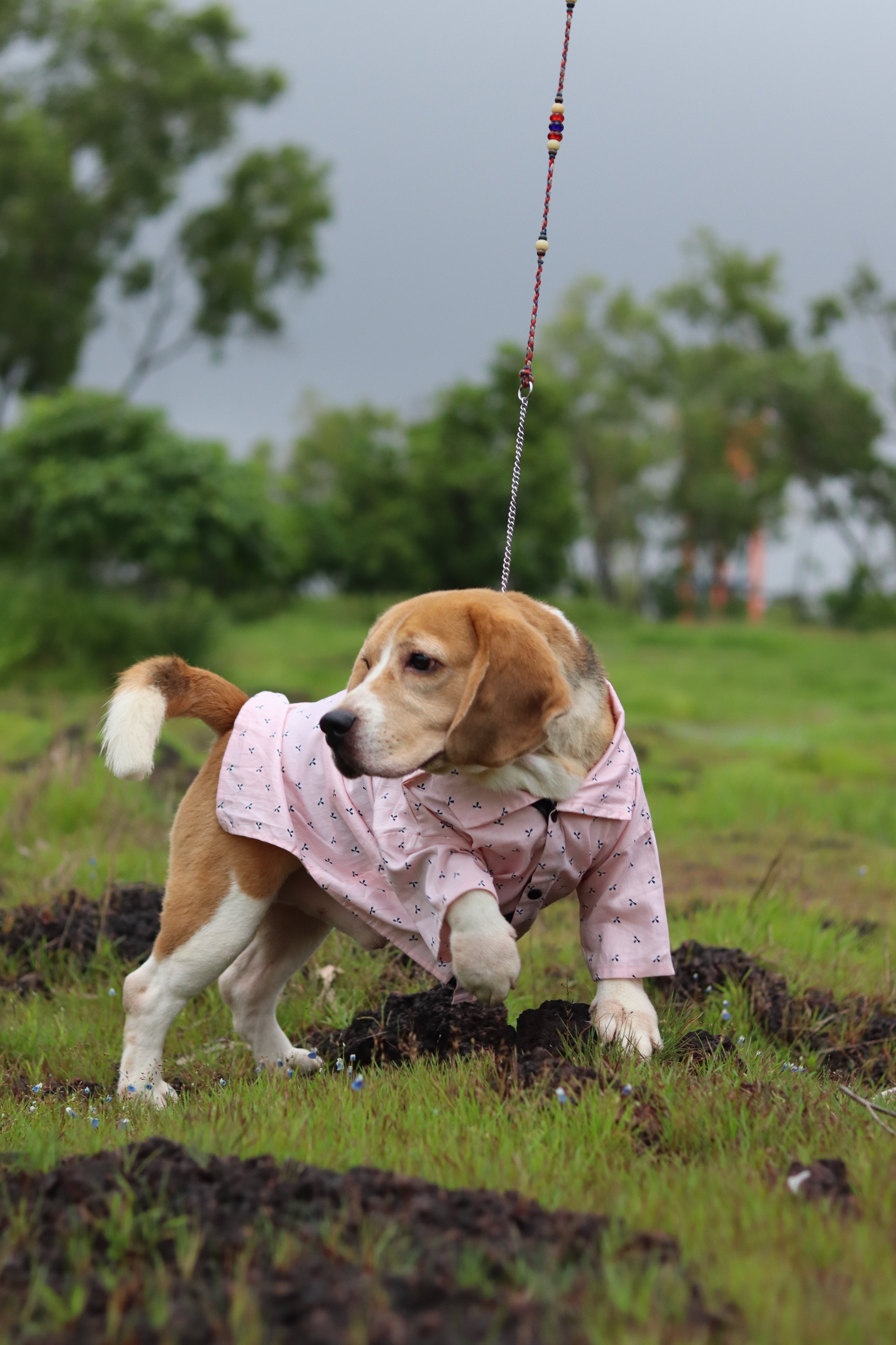 Blush Breeze Shirt