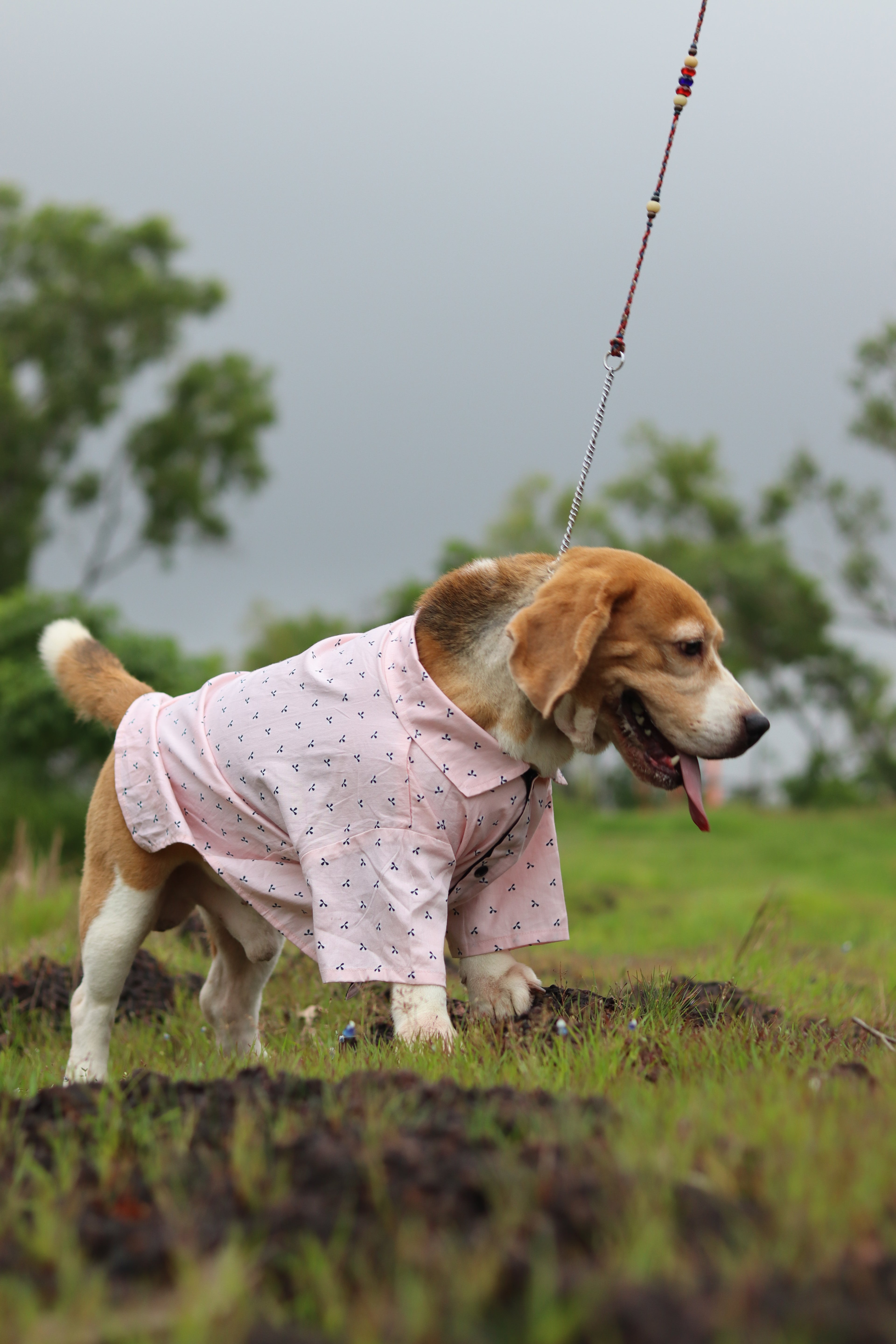Blush Breeze Shirt