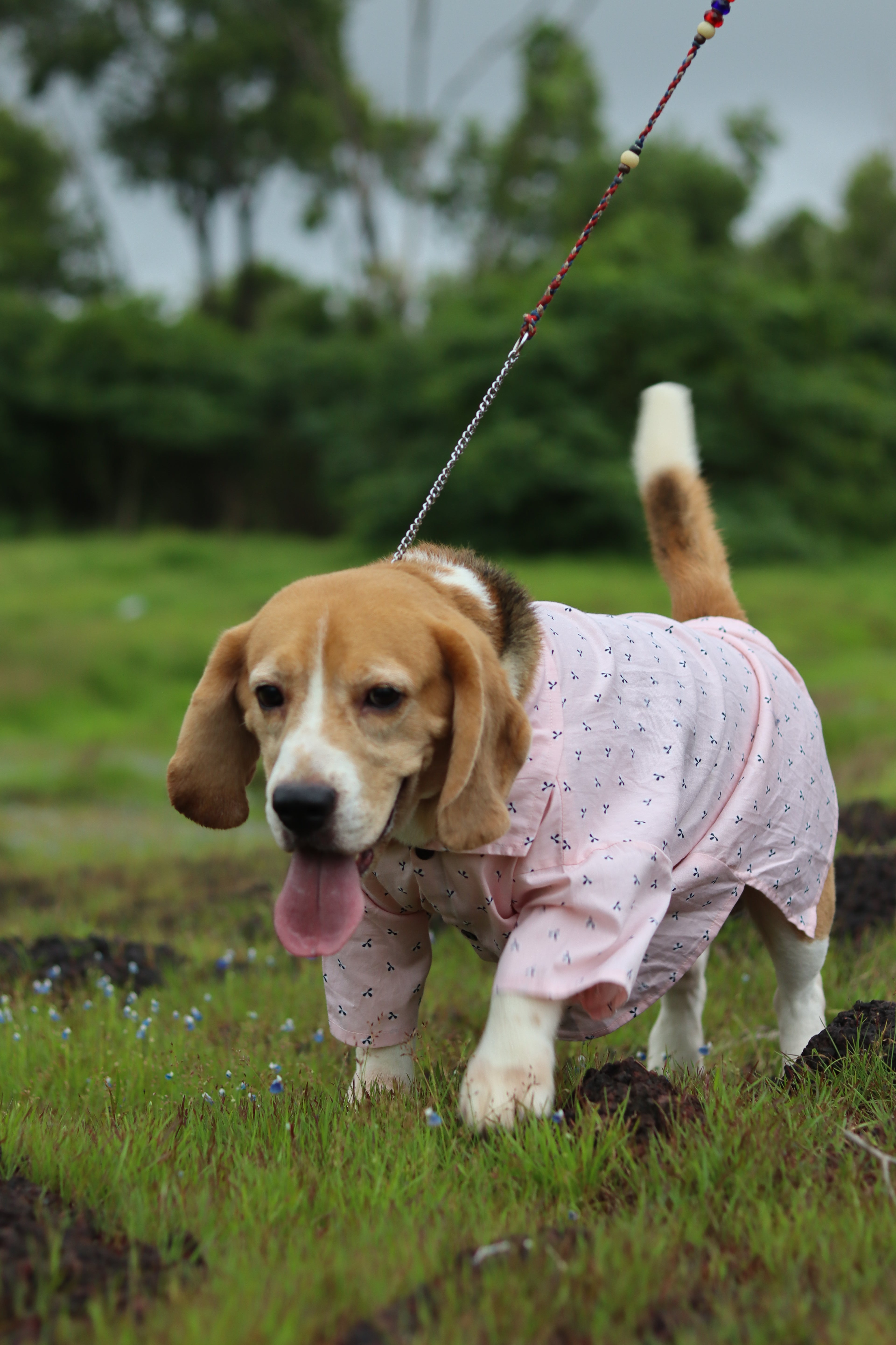 Blush Breeze Shirt