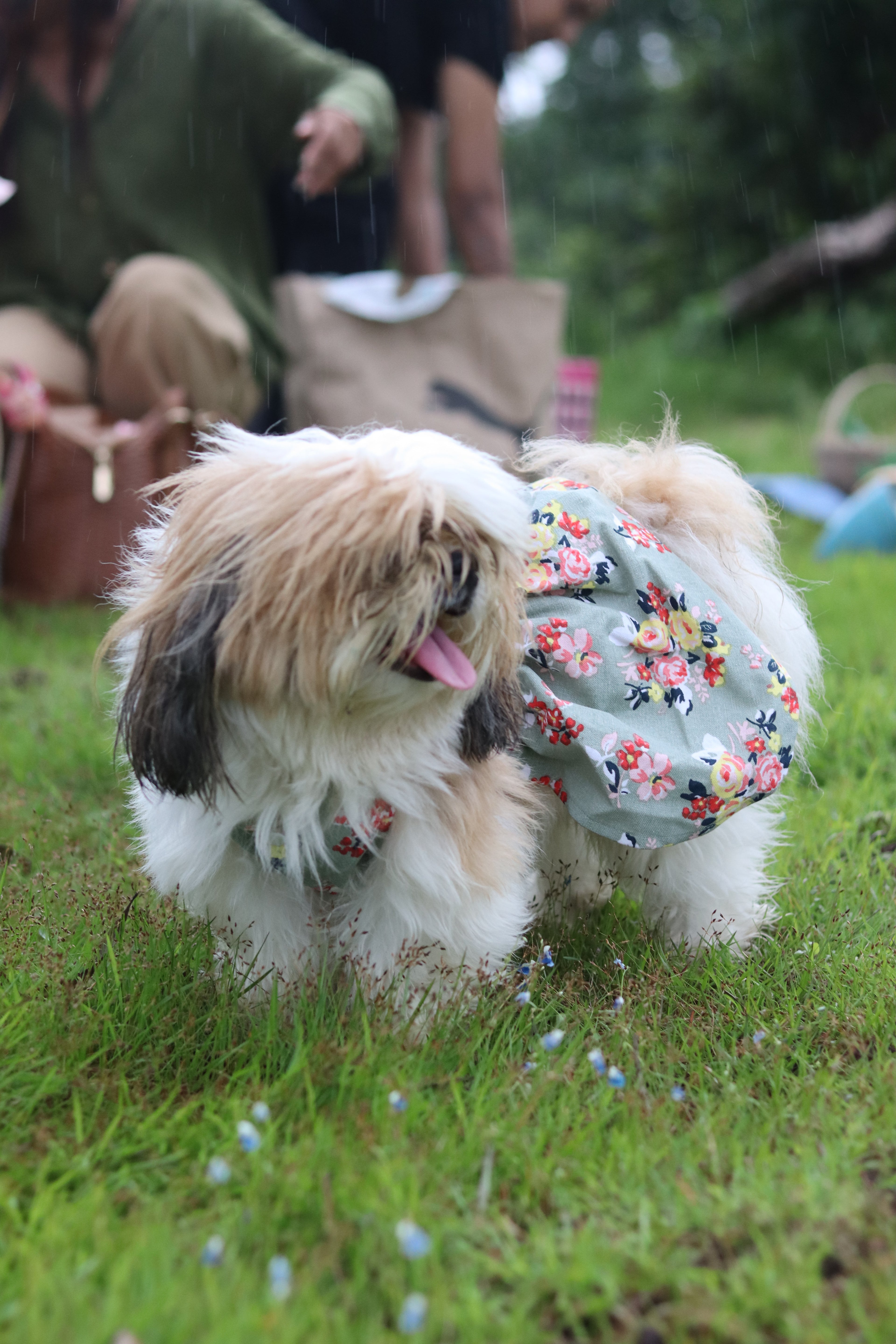 Summer Sparkle - Floral Bow Dress.