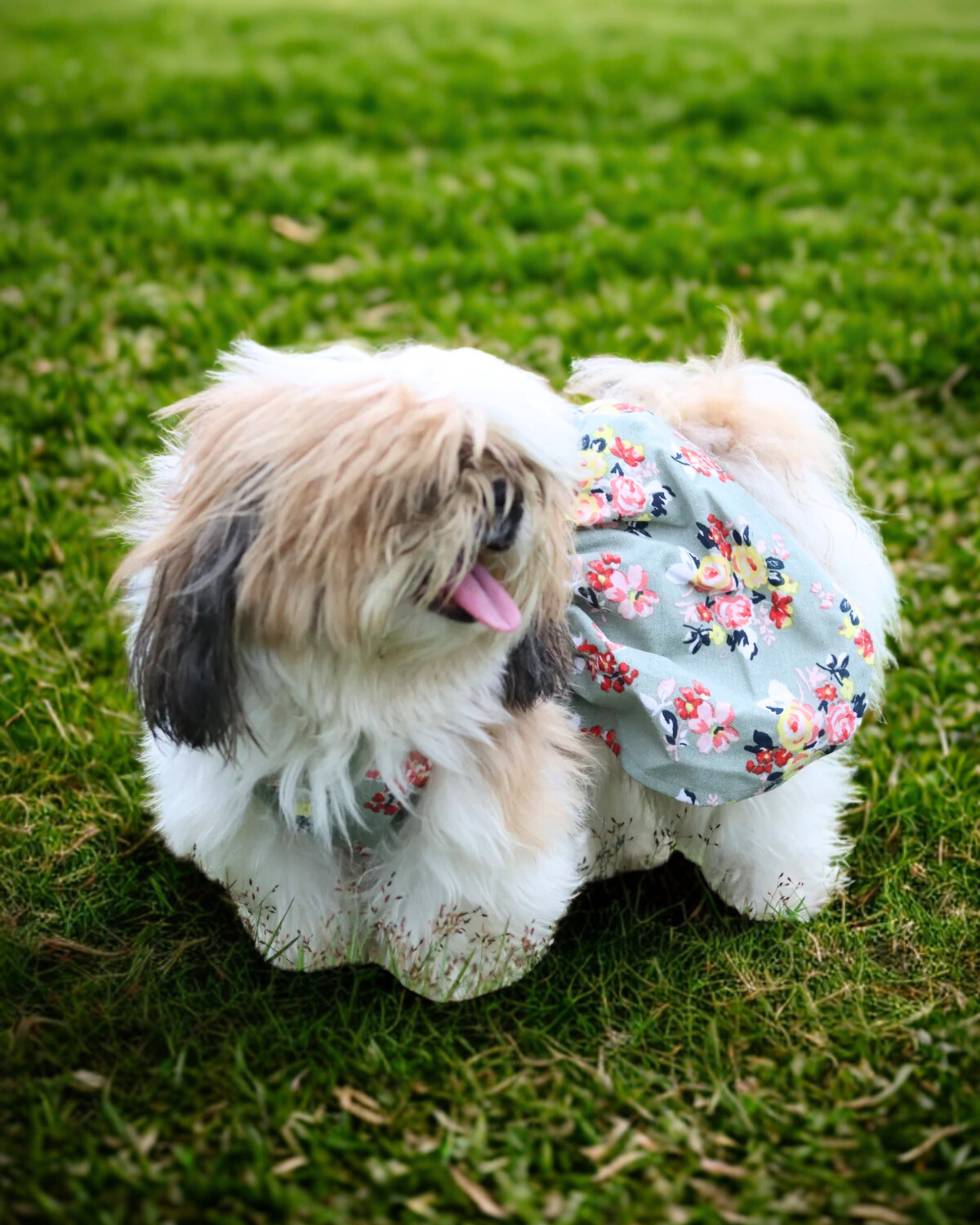 Summer Sparkle - Floral Bow Dress.