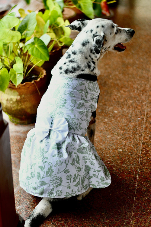 Botanic Belle