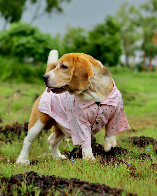 Blush Breeze Shirt